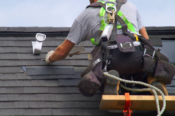 Best Green or Eco-Friendly Roofing Solutions  in North Alamo, TX